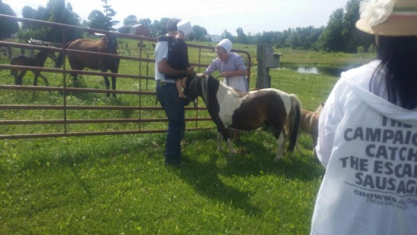 1e08e4119c9921aa29e72b9c88ea0911_1437454